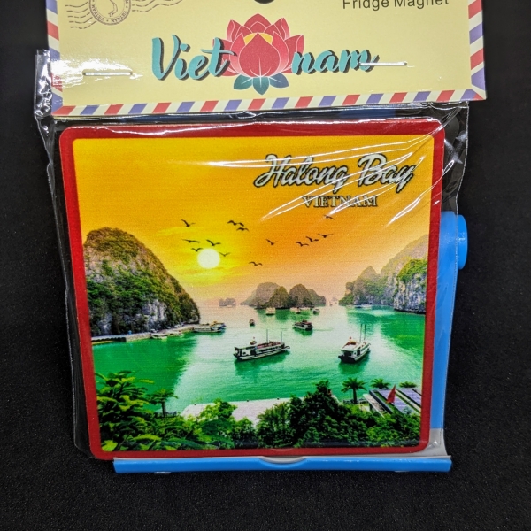 LÓT LY & HÍT 2IN1 (HẠ LONG)